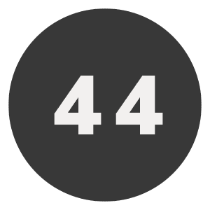 44ORANGE Icon